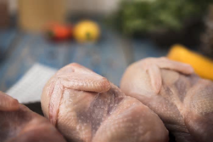 Vendas de carne de frango se aquecem em São Paulo, enquanto calor limita negócios no RS