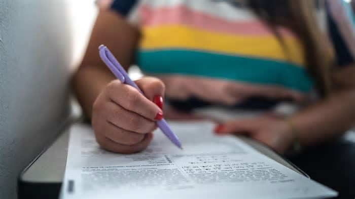 Os concursos públicos para ficar de olho em 2025, incluindo Polícia Federal