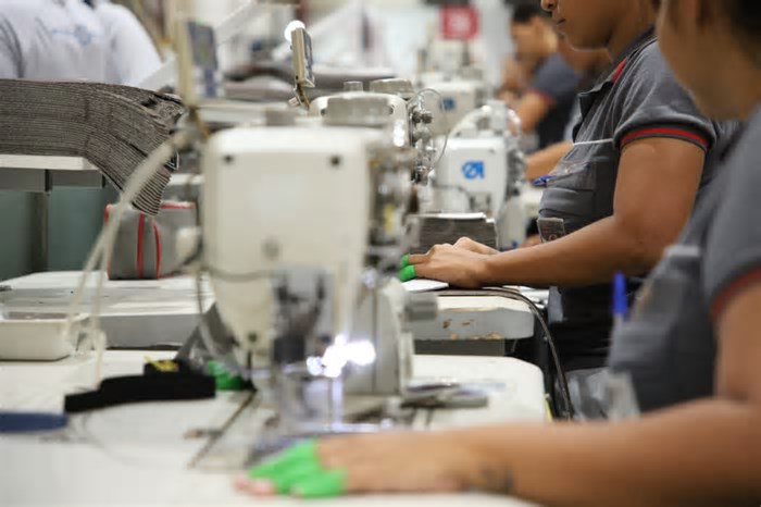 Pernambuco supera média nacional com crescimento industrial de 4,6% em 2024