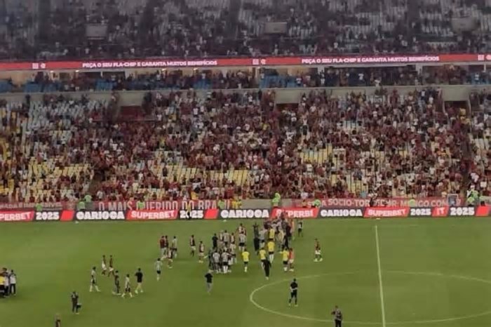 TJD-RJ denuncia jogadores de Flamengo e Botafogo por briga no clássico