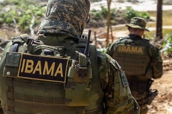 Ibama minimiza decreto de Trump e diz que não depende de ajuda externa