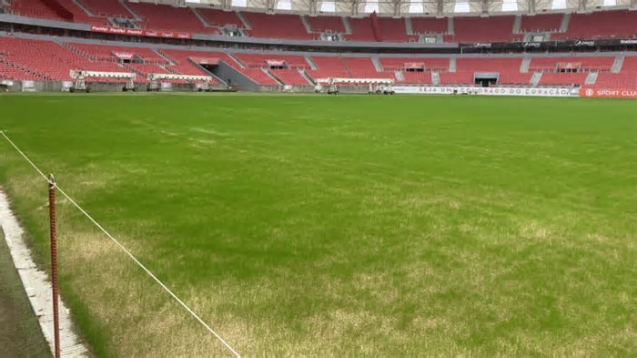 Responsável pelo gramado faz revelação sobre o Beira-Rio
