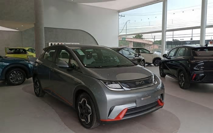 Nova loja da BYD fica na BR-116; concessionária abre 7ª unidade da marca chinesa no RS