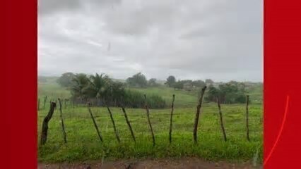 Municípios cearenses amanhecem sob forte chuva; fotos e vídeos