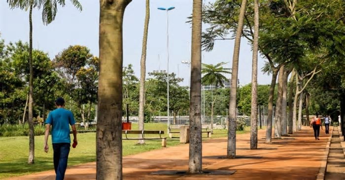 Parques estaduais de SP têm programação gratuita no Carnaval