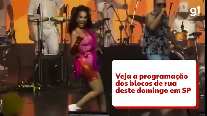 Monobloco, Gal Total, Confraria do Pasmado e mais: veja blocos que saem às ruas de SP neste domingo