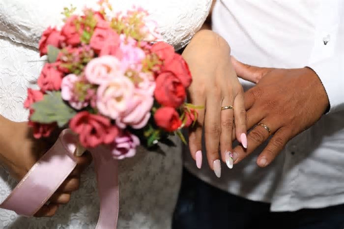 Mamógrafo móvel, casamento coletivo, cursos e mais: saiba onde tem serviços gratuitos no Grande Recife