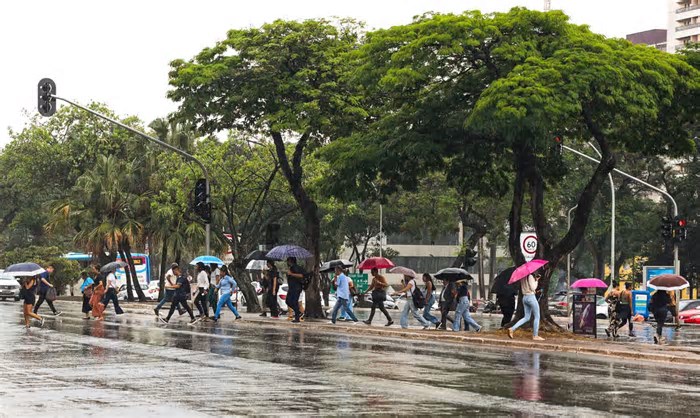 Previsão de chuvas intensas para a semana no Distrito Federal