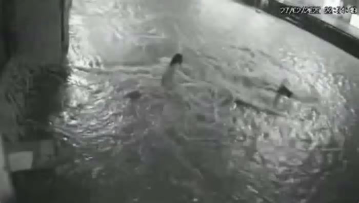 Criança cai em bueiro durante chuva em Fortaleza e é arrastada por correnteza no bairro Bom Jardim; veja vídeo