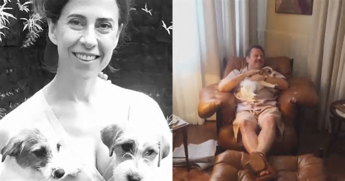 Pimpão, o cachorro de 'Ainda Estou Aqui', vence o prêmio de Melhor Cão Histórico