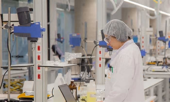 A sobrevivência da Ciência depende do reajuste das bolsas