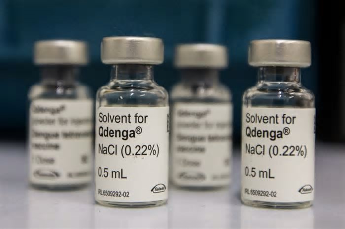 DF não vai ampliar faixa etária para vacinação contra a dengue