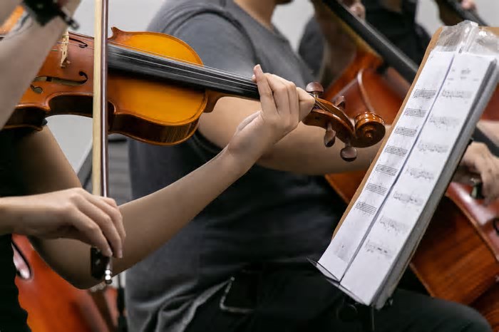 Projeto da UFC tem cursos gratuitos e pagos de violino, viola erudita, violoncelo e contrabaixo acústico