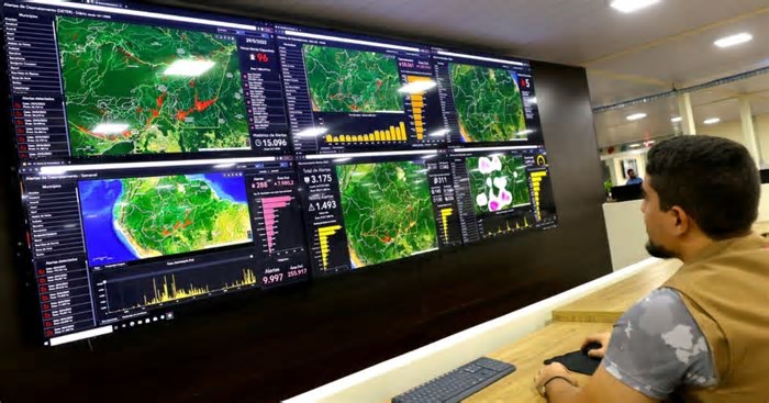 AM registra queda de 82% no desmatamento e 65% nos focos de calor