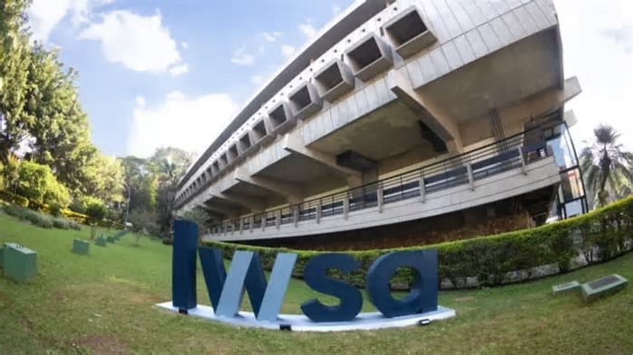 Ficou barata? LWSA (LWSA3) anuncia novo programa de recompra de ações; veja os detalhes