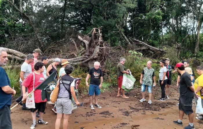 Entidades protestam contra corte de árvores e ‘destruição’ do Parque Saint’Hilaire