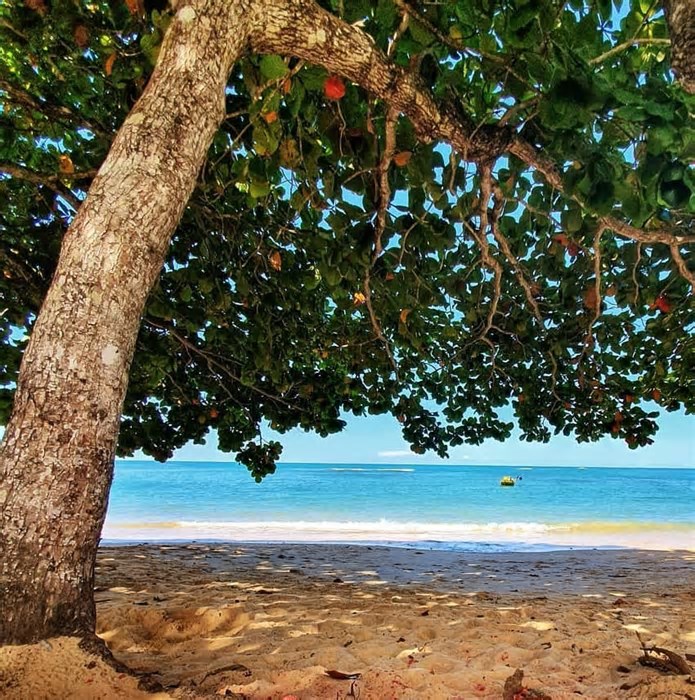 As 4 praias menos faladas e mais bonitas de Porto Seguro