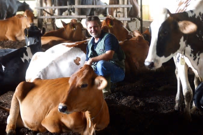 Da fazenda às prateleiras: o queijo como símbolo da gastronomia no DF