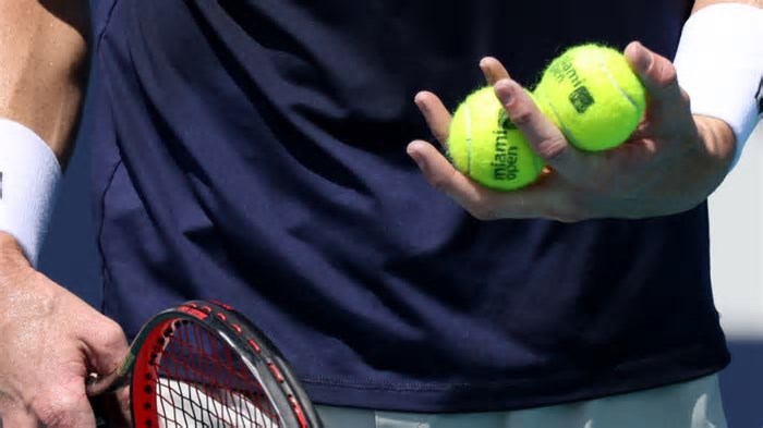 How to Watch Francisco Cerundolo vs. Alexandre Muller at the 2025 Rio Open presented by Claro: Live Stream, TV Channel