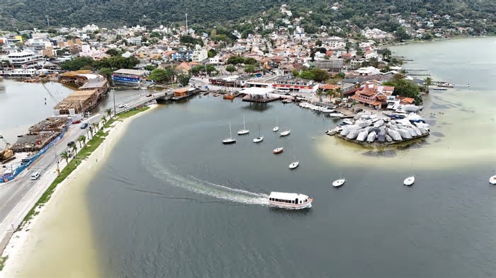 Além de cocaína, pesquisa encontra antibióticos e sedativos na Lagoa da Conceição, em Florianópolis; entenda impactos
