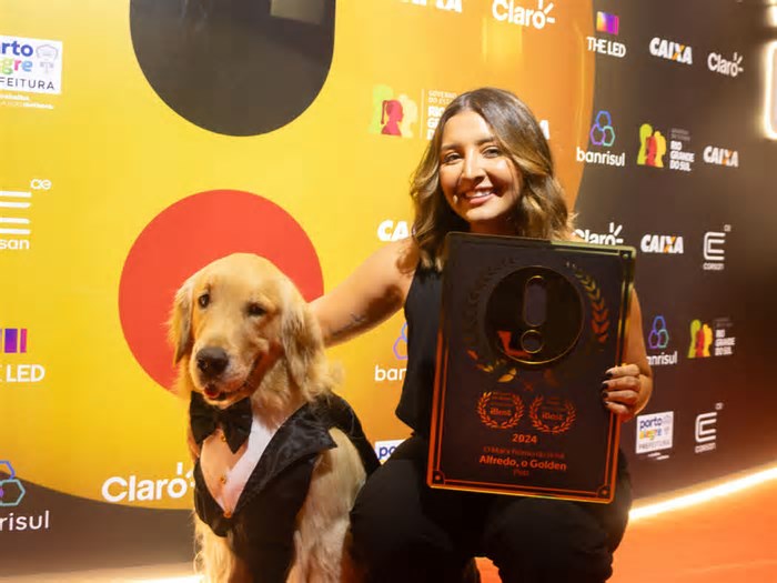 Cão douradense: Golden Alfredo vence prêmio e se consagra pet mais influente do Brasil