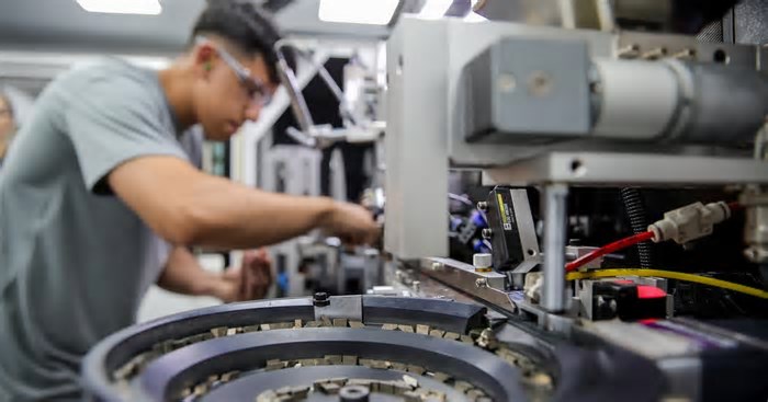 Caxias do Sul fecha 2024 com saldo positivo de emprego entre jovens de 18 a 24 anos