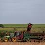 A lista Forbes Agro100, publicada em 2024, apresenta empresas do agronegócio com as maiores receitas de 2023 do país. Das cinco empresas das regiões citadas...