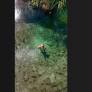 Com água mornas e fácil acesso, complexo de cachoeiras atrai turistas de todo o Brasil. Lugar é conhecido por oferecer contato com a natureza e pelo povo...