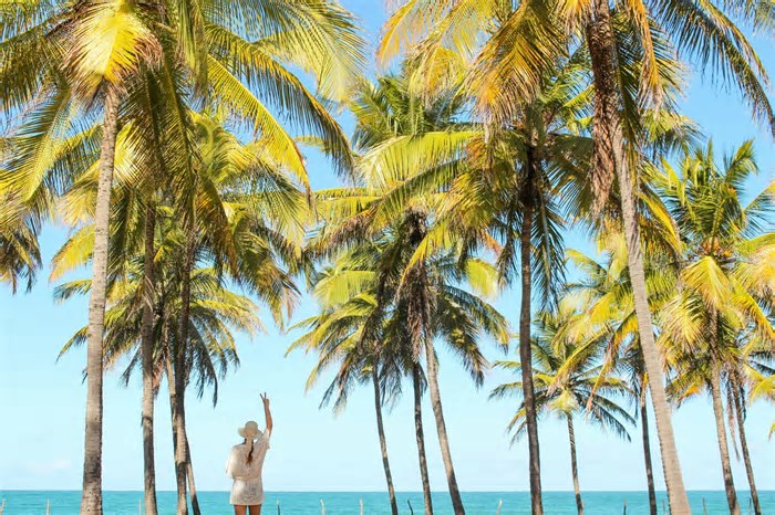 Busca por viagens solo atinge recorde global no Google