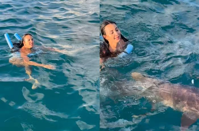 Mulher leva susto com tubarão durante banho do mar em Fernando de Noronha: 'Chutei o coitado'