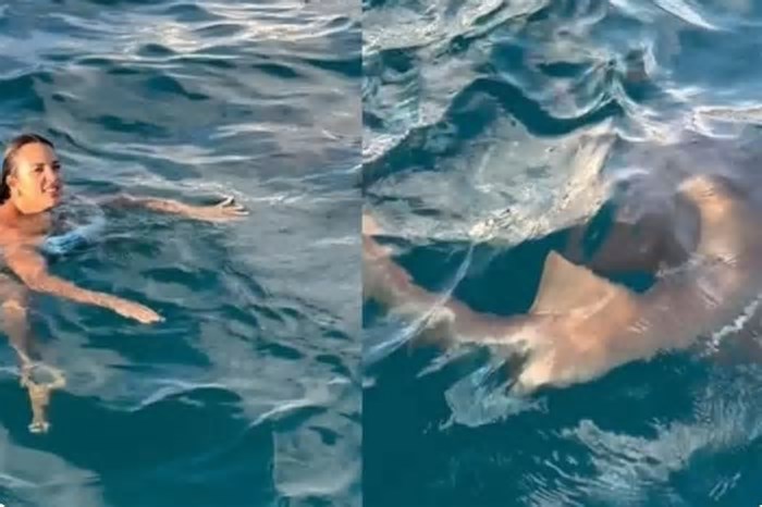 Turista é surpreendida por tubarão em Fernando de Noronha e acaba chutando animal com o susto