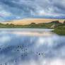Os Parques Nacionais do Brasil são tesouros naturais que guardam a essência da biodiversidade e da beleza paisagística do país. São áreas protegidas que...