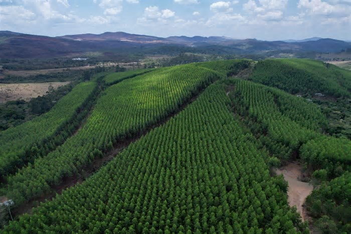 Gigantes da siderurgia debatem futuro do aço verde em Minas; entenda o conceito