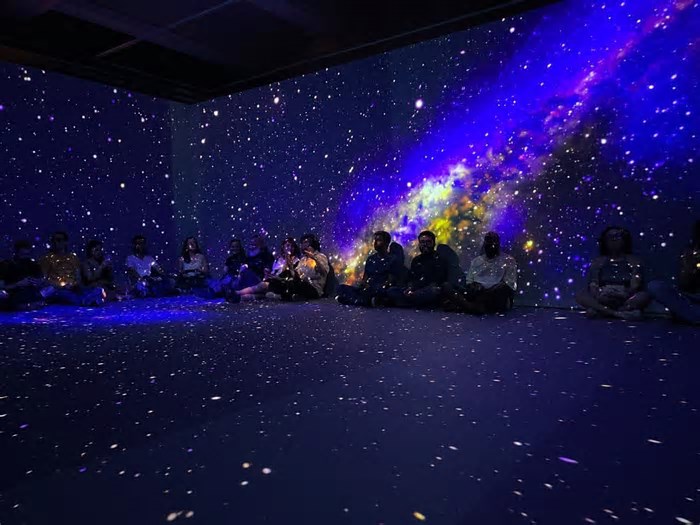 Exposição imersiva de arte digital no CCBB só pode ser visitada até 10 de fevereiro
