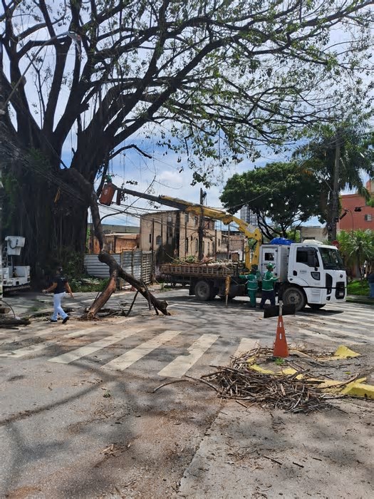 Galho atinge rede elétrica e bloqueia trânsito no bairro Santa Efigênia, em BH