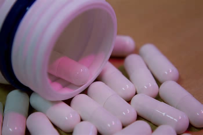 Empresa de inteligência artificial, Recursion planeja ser Amazon Prime da indústria farmacêutica