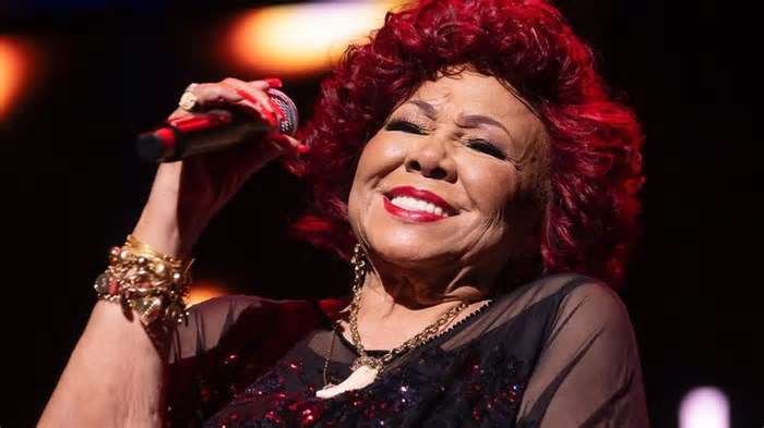 Alcione passa mal em show e apresentação em Pernambuco é interrompida