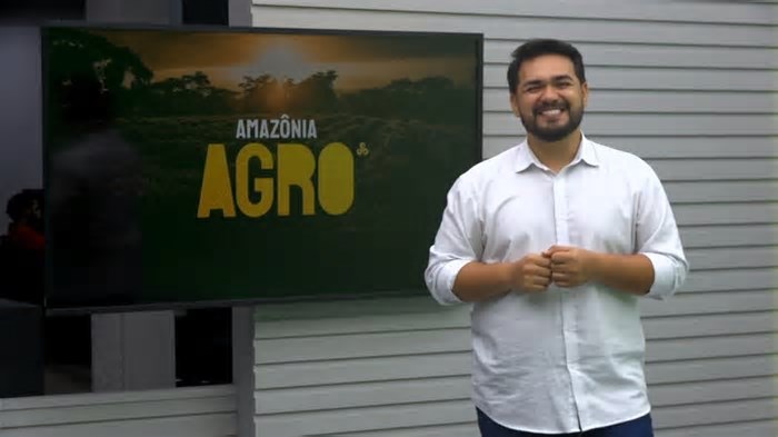 Novo sistema de Inteligência Artificial promete modernizar a produção de castanha na Amazônia