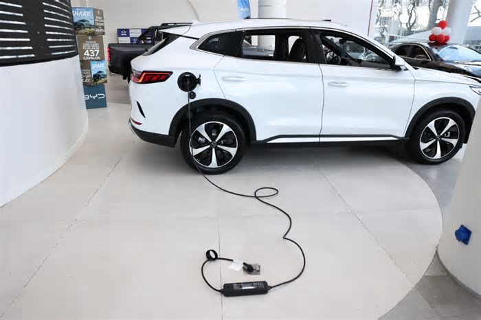 Curitiba é a quinta cidade com mais veículos elétricos no Brasil