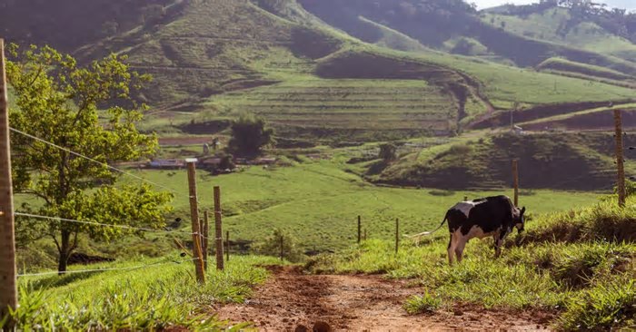 Ministério da Saúde investe R$ 12 bilhões na região do desastre de Mariana