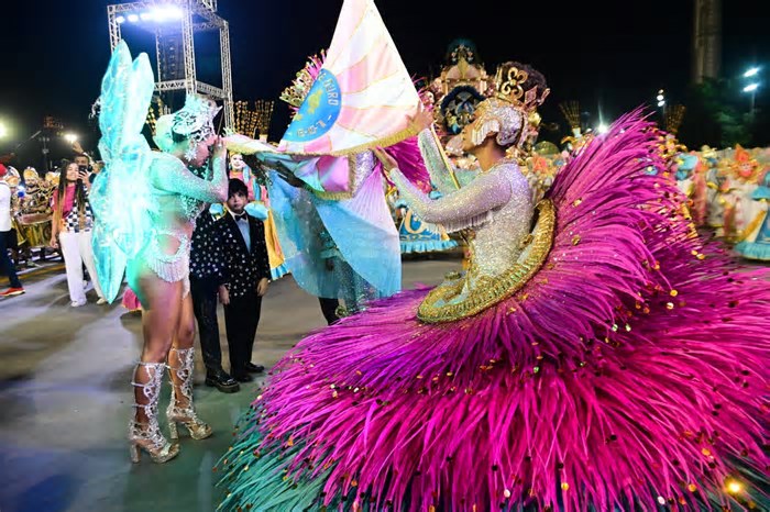 Rosas de Ouro é campeã do Carnaval 2025 de SP; veja fotos e famosos no desfile