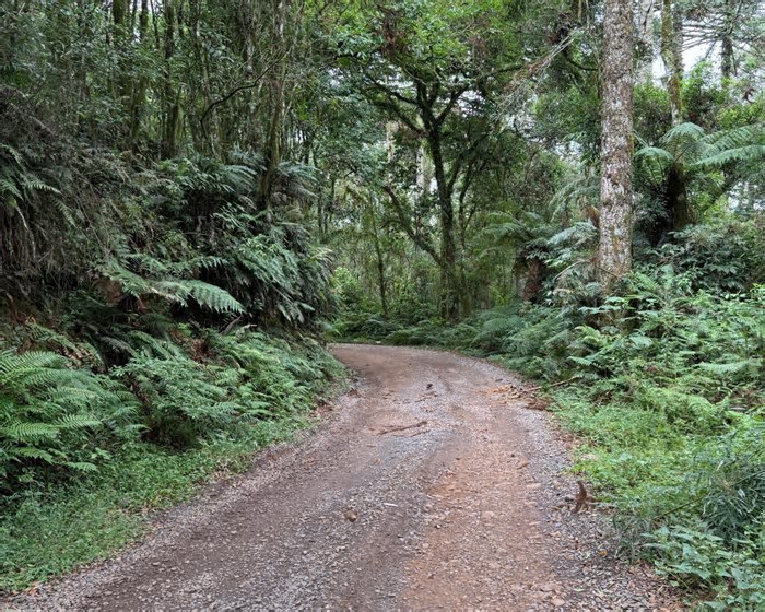 Gramado terá novo bloqueio no trânsito para obras da Corsan; veja locais com interrupção