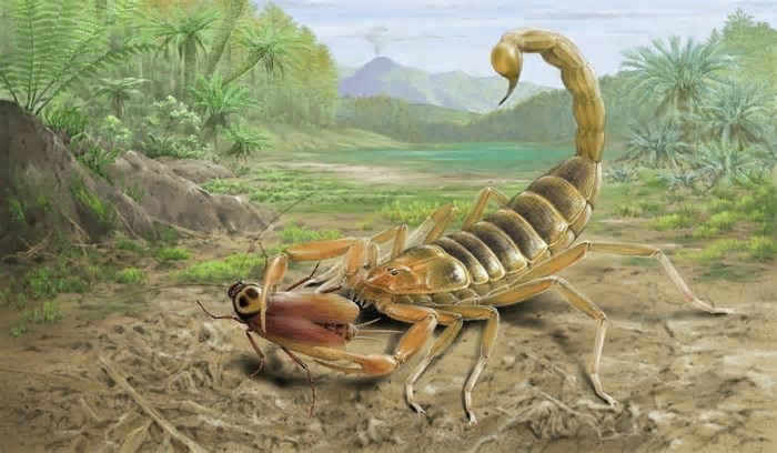Descoberto fóssil de escorpião gigante que viveu com dinossauros há 125 milhões de anos