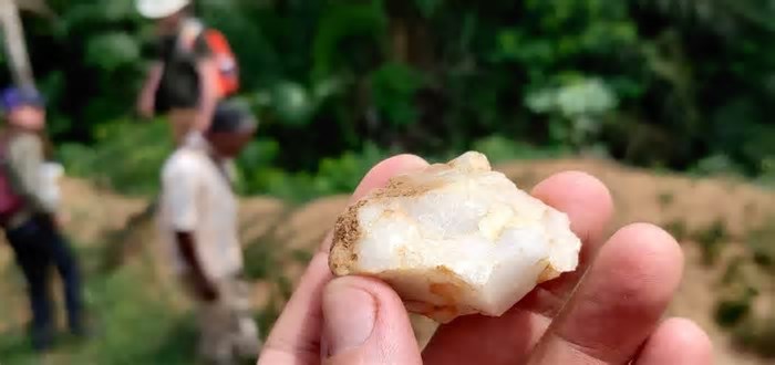 Primeiros humanos viveram em florestas tropicais há 150 mil anos, diz estudo