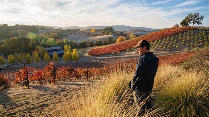 Misturas São o Grande Atrativo da Californiana Vinícola Linne Calodo
