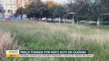 Bom Dia GO. Mato alto em praça incomoda moradores em Goiânia