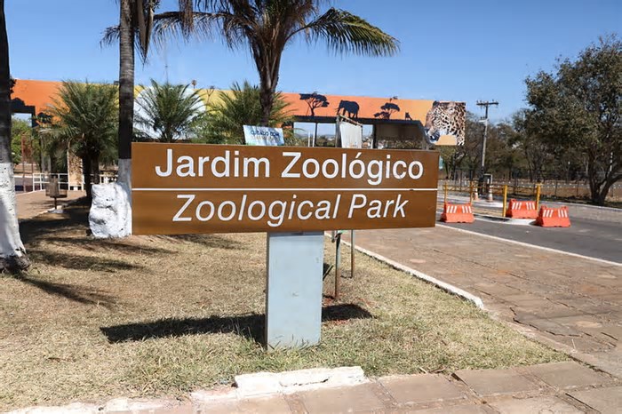 Entrada gratuita atrai visitantes ao Jardim Botânico e Zoológico