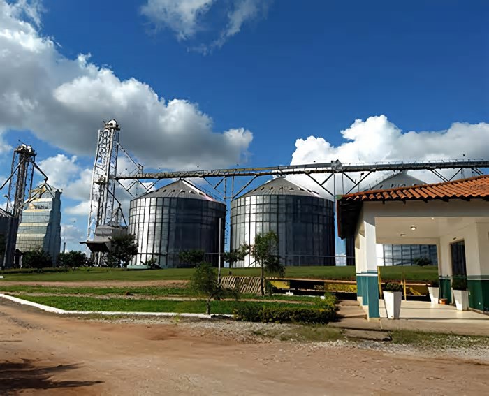 Faturamento da Cotrisul cresce quase 50% em 2024