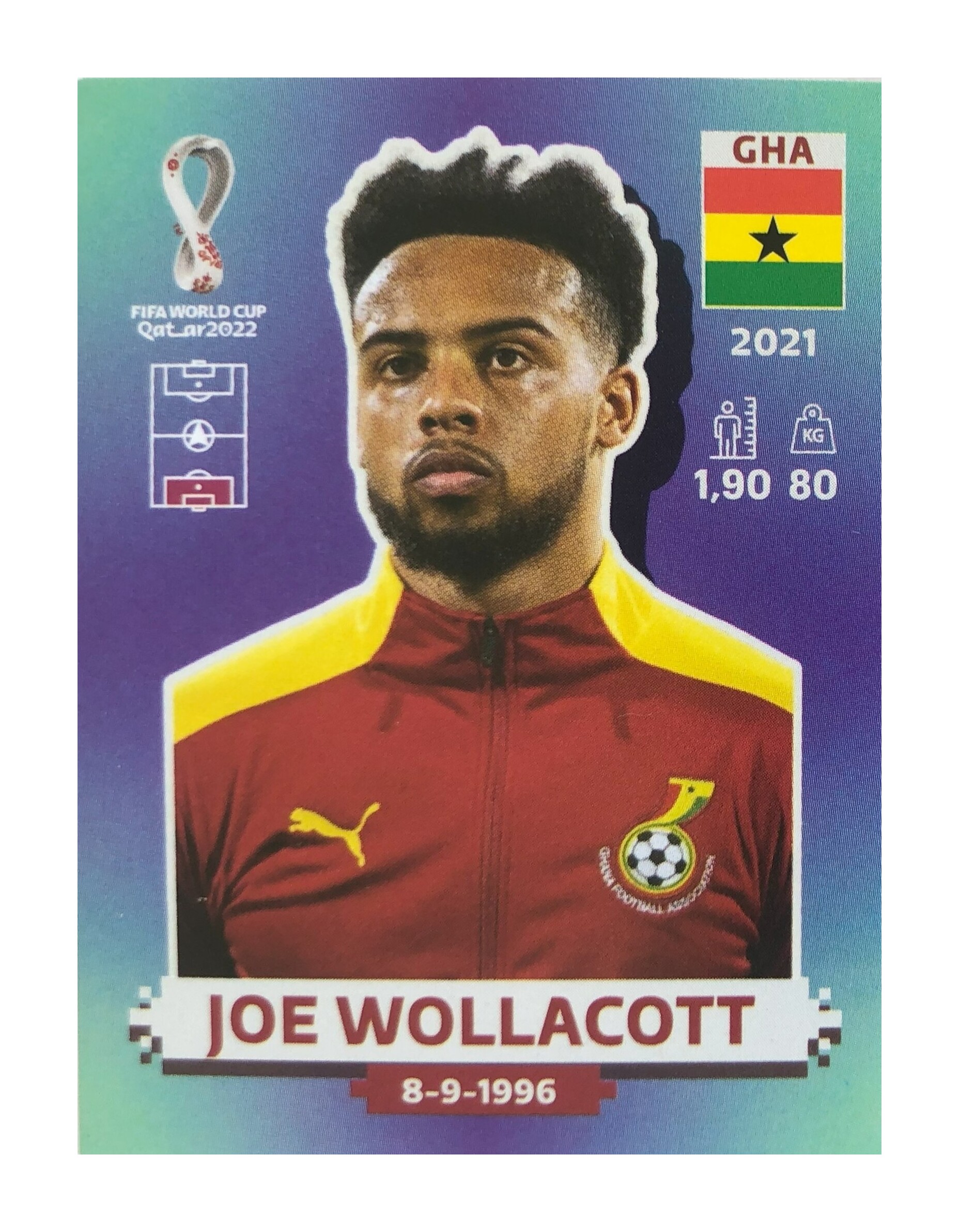 Joe Wollacott