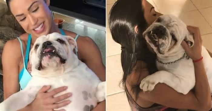 Irmã de Gracyanne Barbosa anuncia morte de cachorro da musa fitness, confinada no BBB: